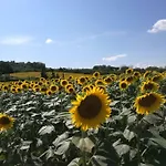 Casa Del Sole Вилла Монтеспертоли